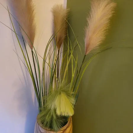 Vakantiehuis Petite Maison - Porto-vecchio *