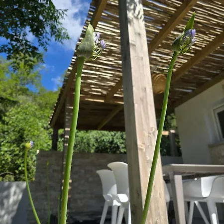 Petite Maison - Porto-vecchio Hébergement de vacances