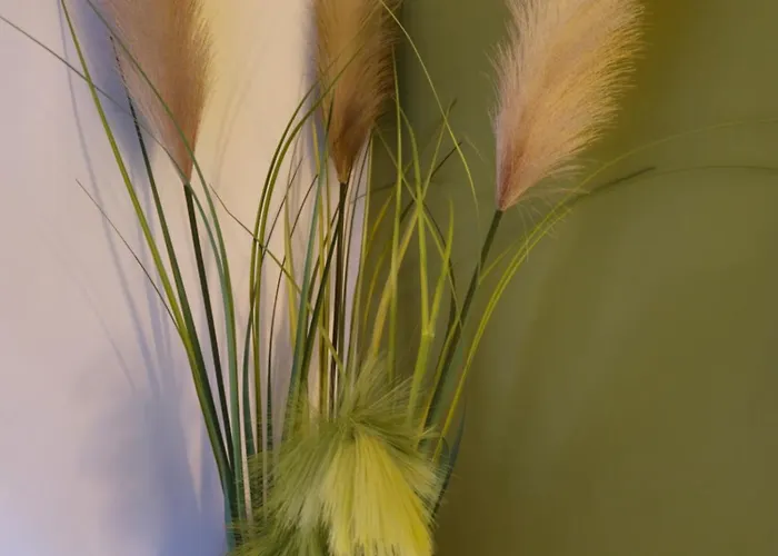 Vakantiehuis Petite Maison - Porto-vecchio *