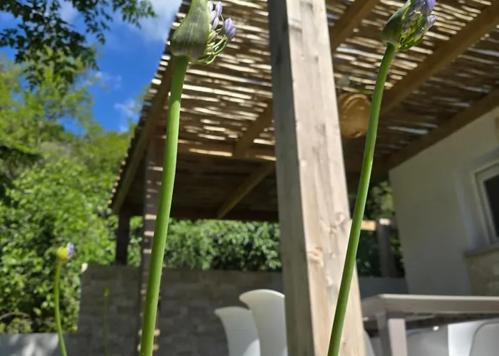 Petite Maison - Porto-vecchio Сasa de vacaciones